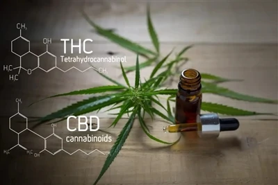 CBD & THC Vape -teollisuuden yleiskatsaus: Viimeisin täydellinen opas