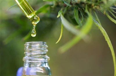 CBD vs. THC: Kaikki mitä sinun tarvitsee tietää